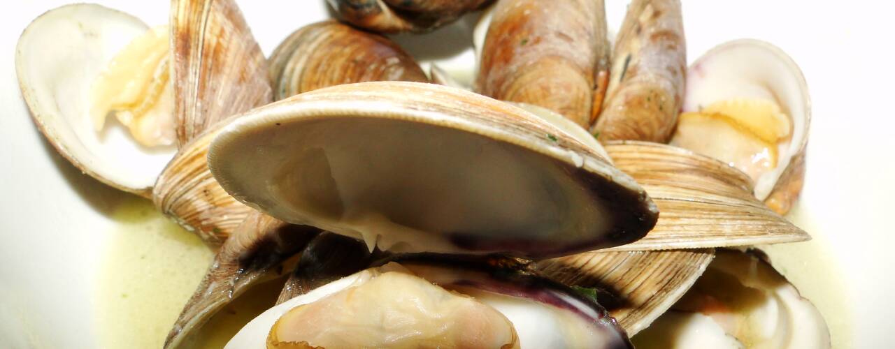 image of clams