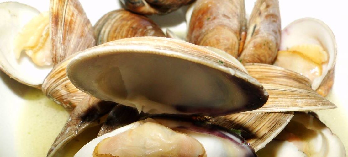 cooked clams graphic