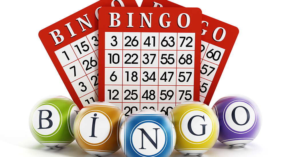BINGO GRAPHIC
